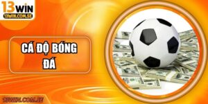 Cá Độ Bóng Đá Tại 13Win – Trải Nghiệm An Toàn, Uy Tín